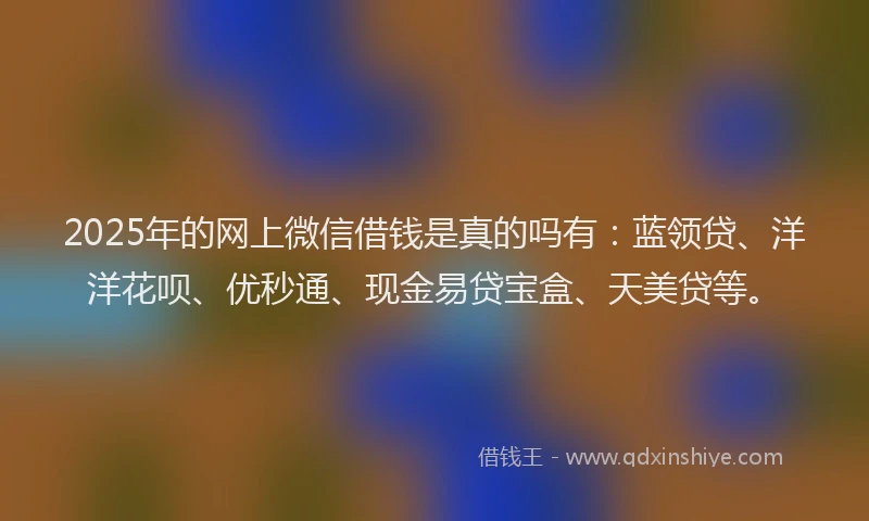 2025年的网上微信借钱是真的吗有：蓝领贷、洋洋花呗、优秒通、现金易贷宝盒、天美贷等。