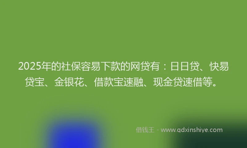 2025年的社保容易下款的网贷有：日日贷、快易贷宝、金银花、借款宝速融、现金贷速借等。