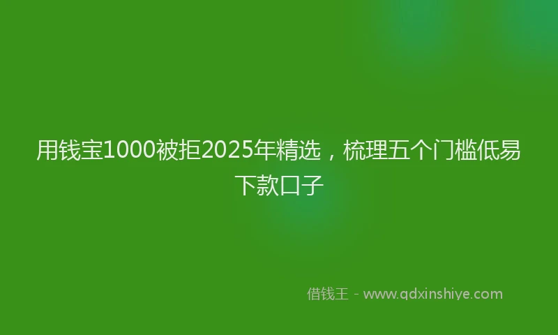 用钱宝1000被拒2025年精选，梳理五个门槛低易下款口子
