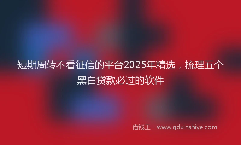 短期周转不看征信的平台2025年精选，梳理五个黑白贷款必过的软件