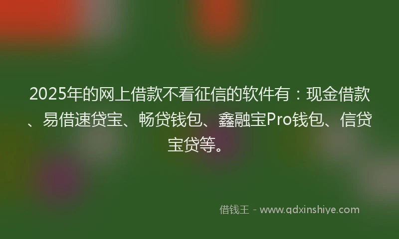 2025年的网上借款不看征信的软件有：现金借款、易借速贷宝、畅贷钱包、鑫融宝Pro钱包、信贷宝贷等。