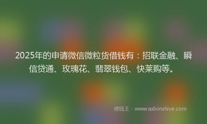 2025年的申请微信微粒货借钱有：招联金融、瞬信贷通、玫瑰花、翡翠钱包、快莱购等。
