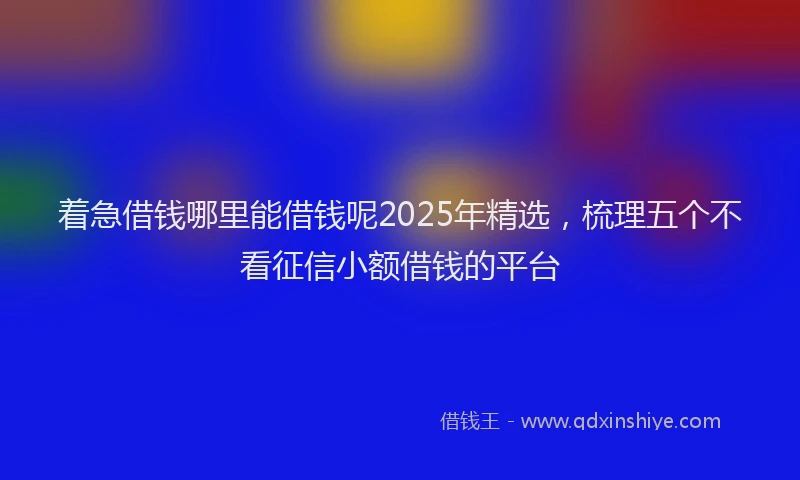 着急借钱哪里能借钱呢2025年精选，梳理五个不看征信小额借钱的平台