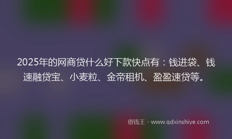 2025年的网商贷什么好下款快点有：钱进袋、钱速融贷宝、小麦粒、金帝租机、盈盈速贷等。
