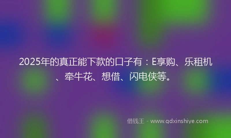 2025年的真正能下款的口子有：E享购、乐租机、牵牛花、想借、闪电侠等。