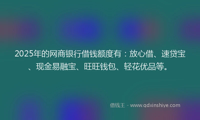 2025年的网商银行借钱额度有：放心借、速贷宝、现金易融宝、旺旺钱包、轻花优品等。