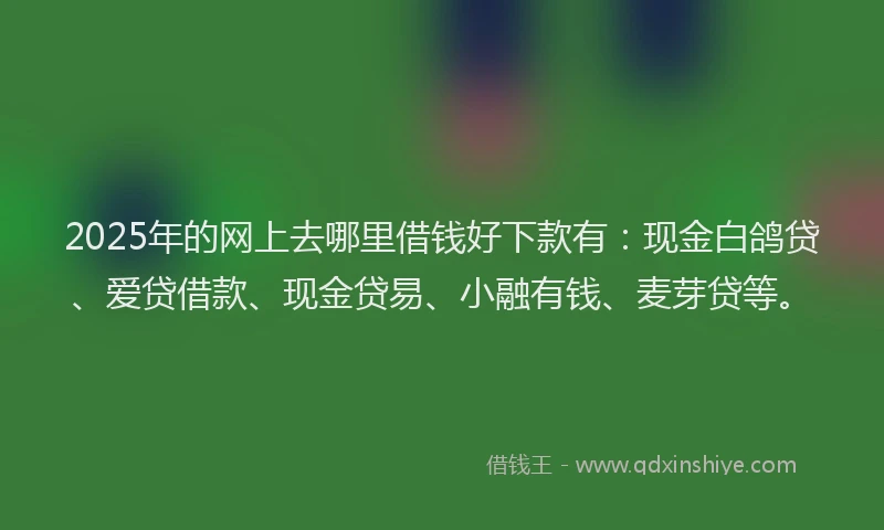 2025年的网上去哪里借钱好下款有：现金白鸽贷、爱贷借款、现金贷易、小融有钱、麦芽贷等。