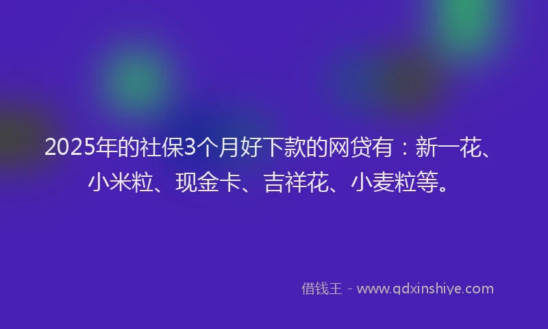 2025年的社保3个月好下款的网贷有：新一花、小米粒、现金卡、吉祥花、小麦粒等。
