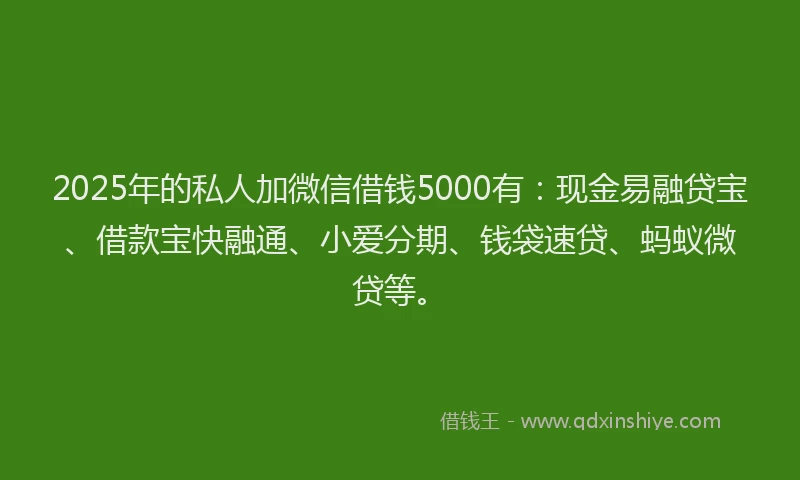 2025年的私人加微信借钱5000有：现金易融贷宝、借款宝快融通、小爱分期、钱袋速贷、蚂蚁微贷等。