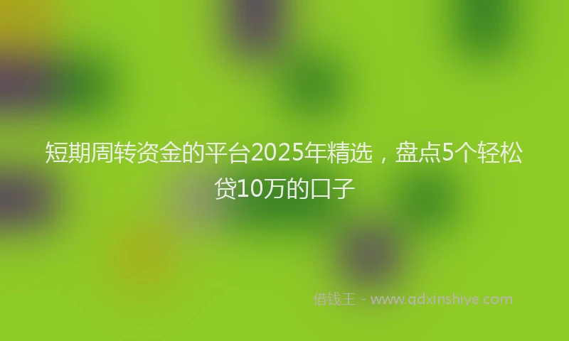 短期周转资金的平台2025年精选，盘点5个轻松贷10万的口子