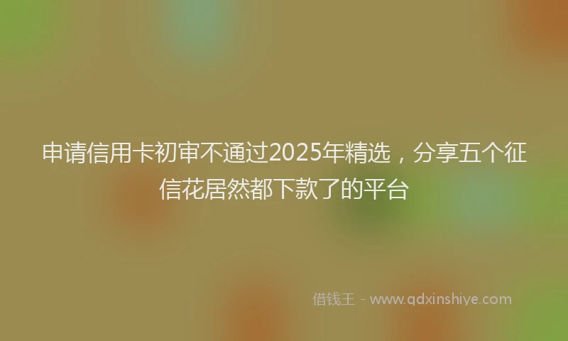 申请信用卡初审不通过2025年精选，分享五个征信花居然都下款了的平台