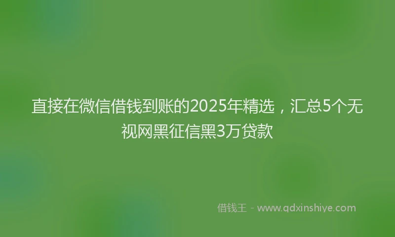 直接在微信借钱到账的2025年精选，汇总5个无视网黑征信黑3万贷款