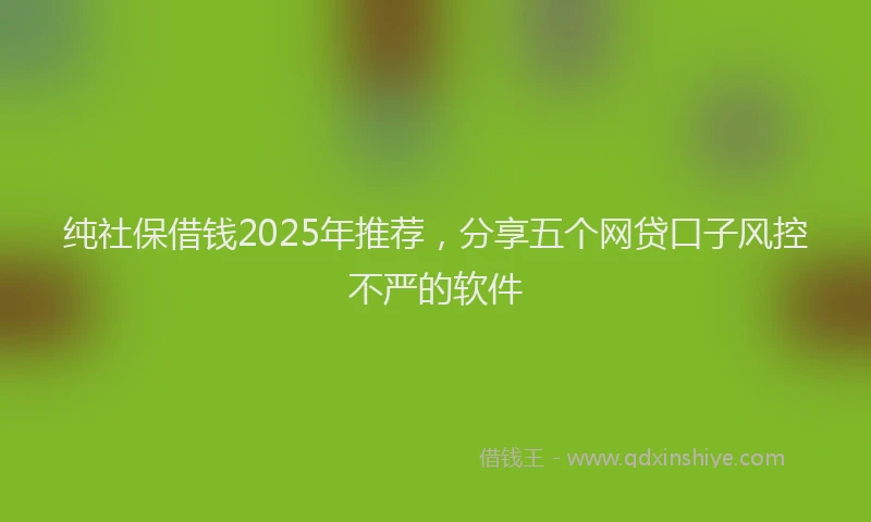 纯社保借钱2025年推荐，分享五个网贷口子风控不严的软件