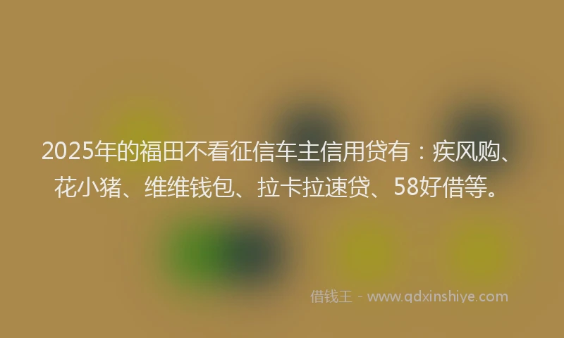 2025年的福田不看征信车主信用贷有：疾风购、花小猪、维维钱包、拉卡拉速贷、58好借等。