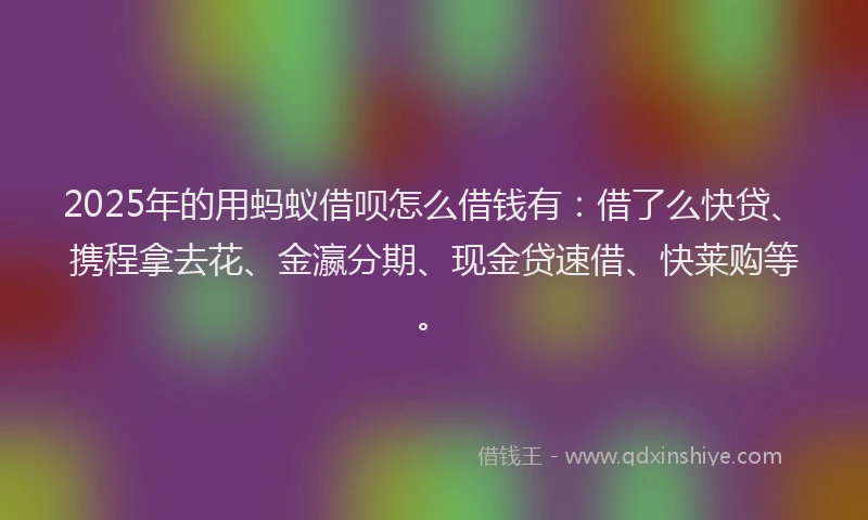 2025年的用蚂蚁借呗怎么借钱有：借了么快贷、携程拿去花、金瀛分期、现金贷速借、快莱购等。