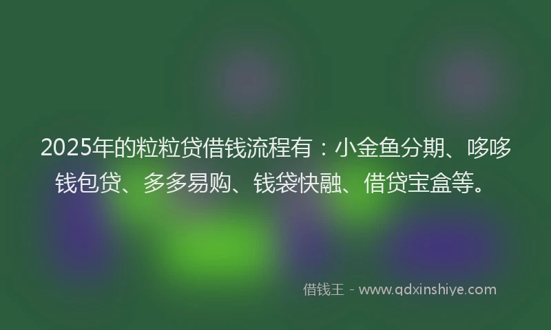 2025年的粒粒贷借钱流程有：小金鱼分期、哆哆钱包贷、多多易购、钱袋快融、借贷宝盒等。