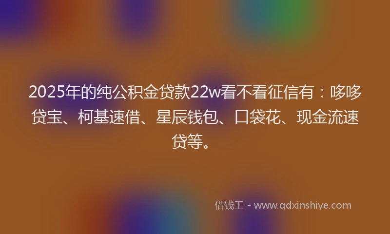 2025年的纯公积金贷款22w看不看征信有：哆哆贷宝、柯基速借、星辰钱包、口袋花、现金流速贷等。