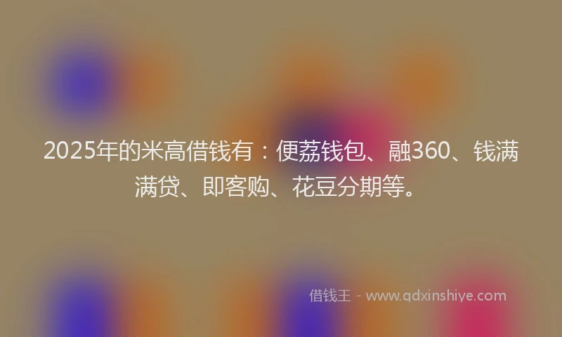2025年的米高借钱有：便荔钱包、融360、钱满满贷、即客购、花豆分期等。