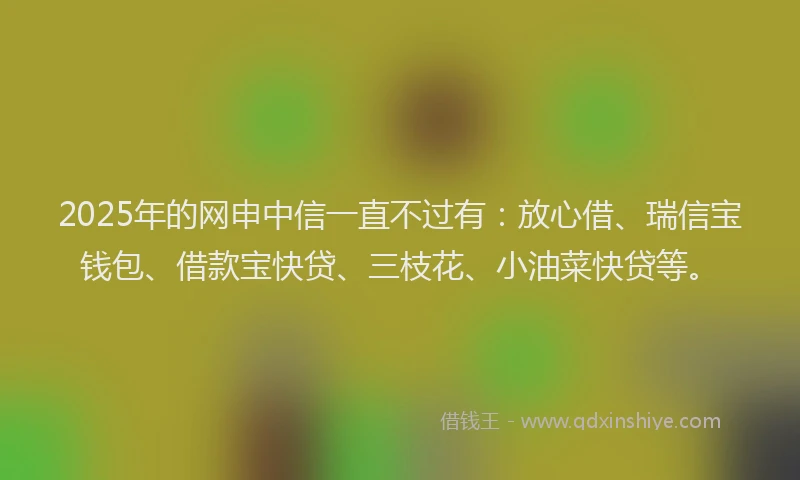 2025年的网申中信一直不过有：放心借、瑞信宝钱包、借款宝快贷、三枝花、小油菜快贷等。