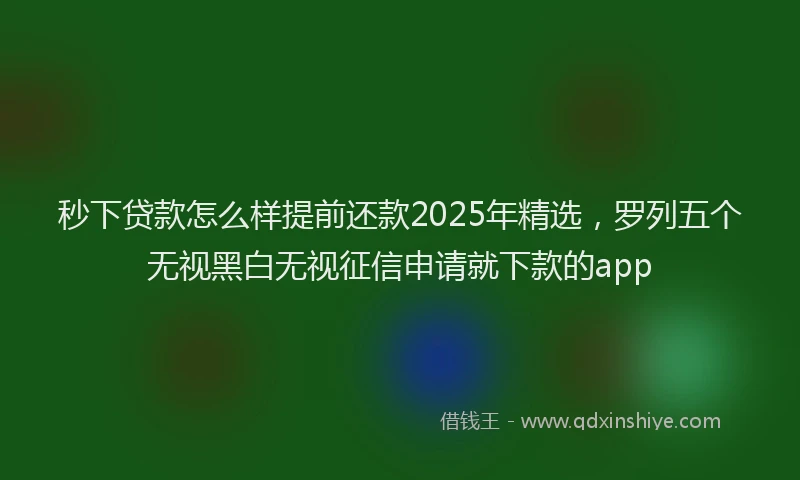 秒下贷款怎么样提前还款2025年精选，罗列五个无视黑白无视征信申请就下款的app