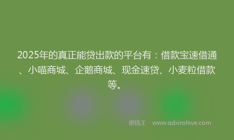 2025年的真正能贷出款的平台有：借款宝速借通、小喵商城、企鹅商城、现金速贷、小麦粒借款等。