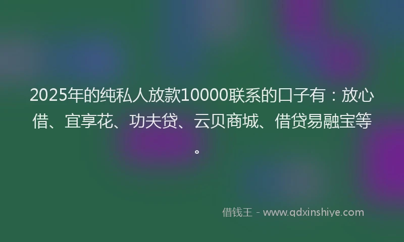 2025年的纯私人放款10000联系的口子有：放心借、宜享花、功夫贷、云贝商城、借贷易融宝等。