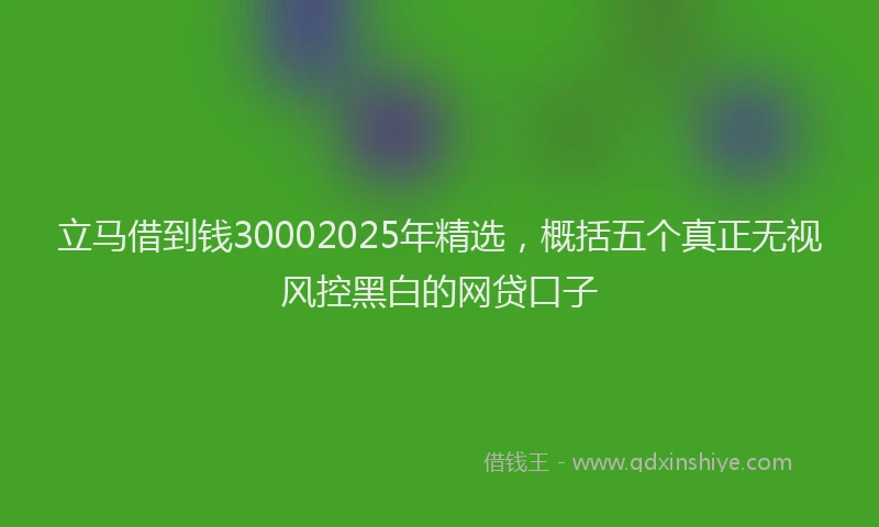 立马借到钱30002025年精选，概括五个真正无视风控黑白的网贷口子