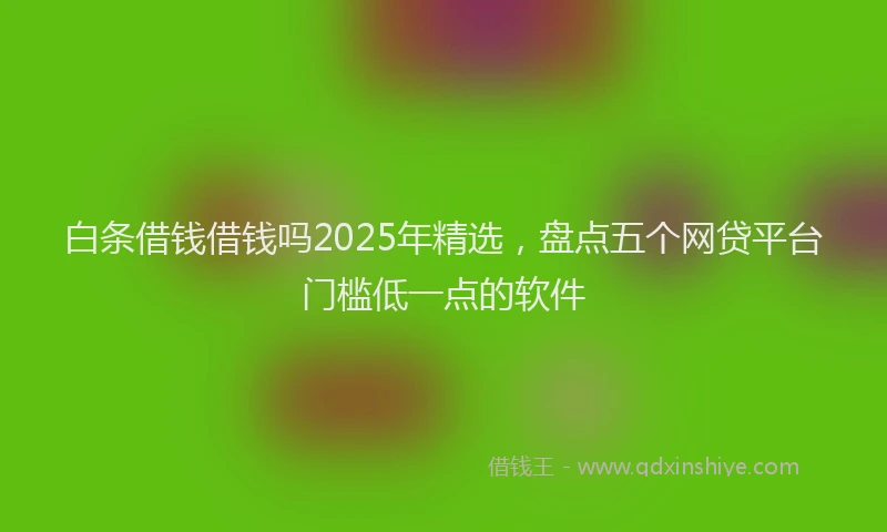 白条借钱借钱吗2025年精选，盘点五个网贷平台门槛低一点的软件