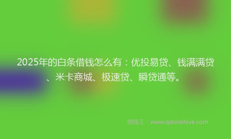2025年的白条借钱怎么有：优投易贷、钱满满贷、米卡商城、极速贷、瞬贷通等。