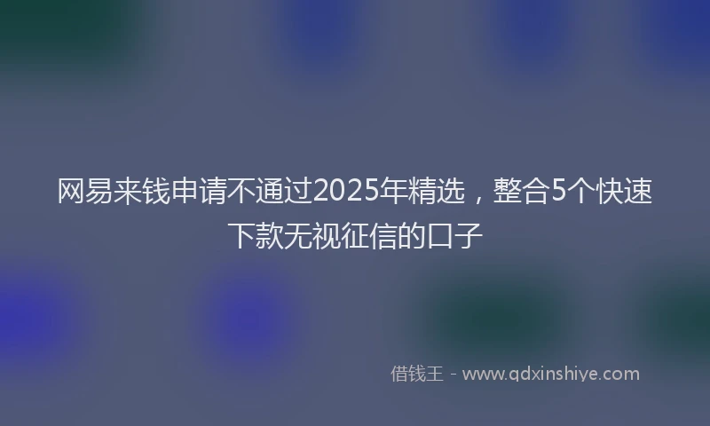 网易来钱申请不通过2025年精选，整合5个快速下款无视征信的口子