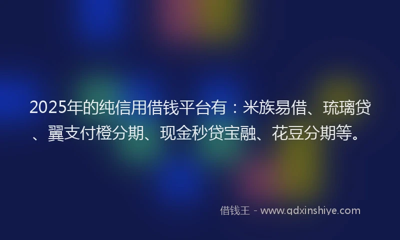 2025年的纯信用借钱平台有：米族易借、琉璃贷、翼支付橙分期、现金秒贷宝融、花豆分期等。