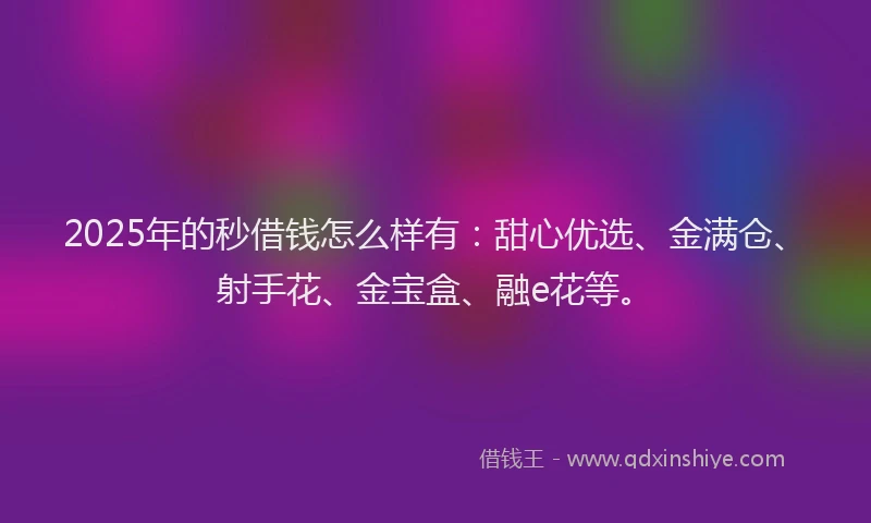 2025年的秒借钱怎么样有：甜心优选、金满仓、射手花、金宝盒、融e花等。