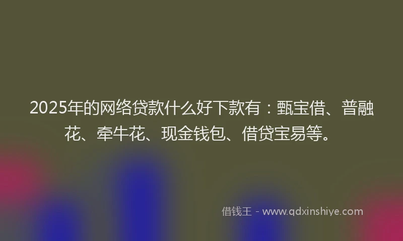 2025年的网络贷款什么好下款有：甄宝借、普融花、牵牛花、现金钱包、借贷宝易等。