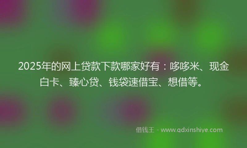 2025年的网上贷款下款哪家好有：哆哆米、现金白卡、臻心贷、钱袋速借宝、想借等。