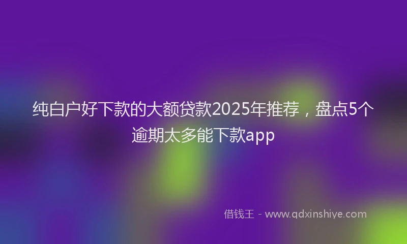纯白户好下款的大额贷款2025年推荐，盘点5个逾期太多能下款app