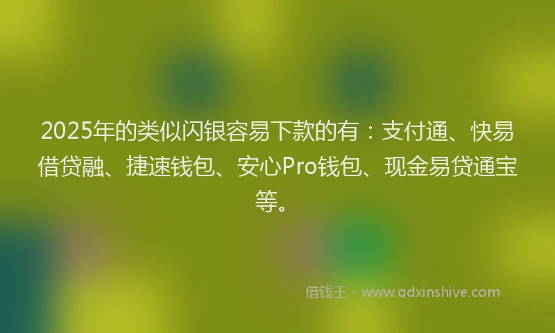 2025年的类似闪银容易下款的有：支付通、快易借贷融、捷速钱包、安心Pro钱包、现金易贷通宝等。