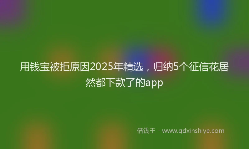 用钱宝被拒原因2025年精选，归纳5个征信花居然都下款了的app