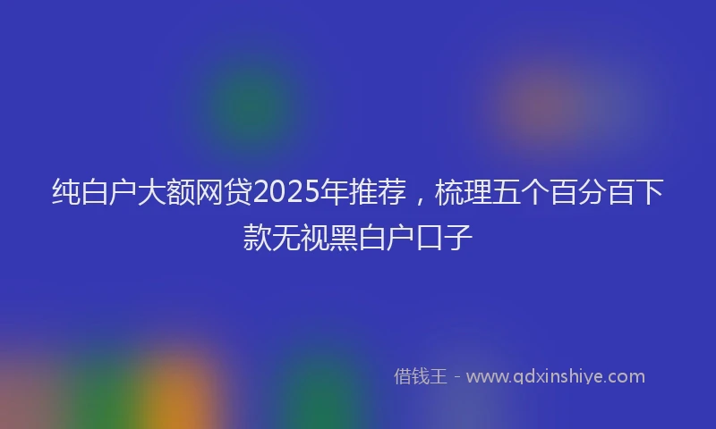 纯白户大额网贷2025年推荐，梳理五个百分百下款无视黑白户口子