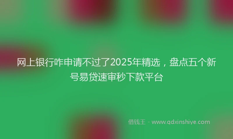 网上银行咋申请不过了2025年精选，盘点五个新号易贷速审秒下款平台