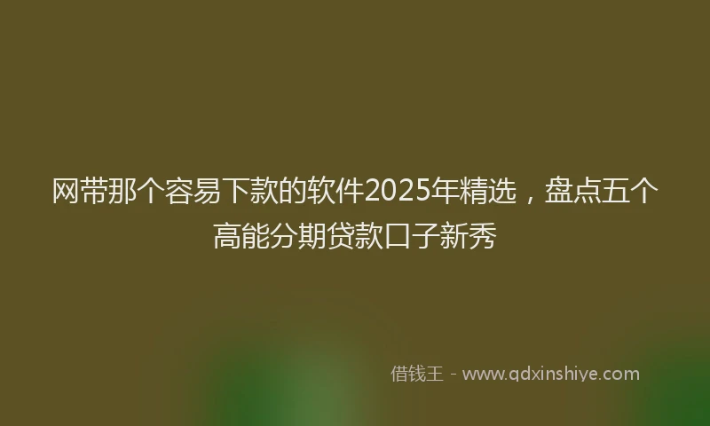 网带那个容易下款的软件2025年精选，盘点五个高能分期贷款口子新秀