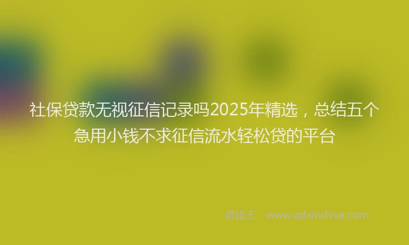 社保贷款无视征信记录吗2025年精选，总结五个急用小钱不求征信流水轻松贷的平台