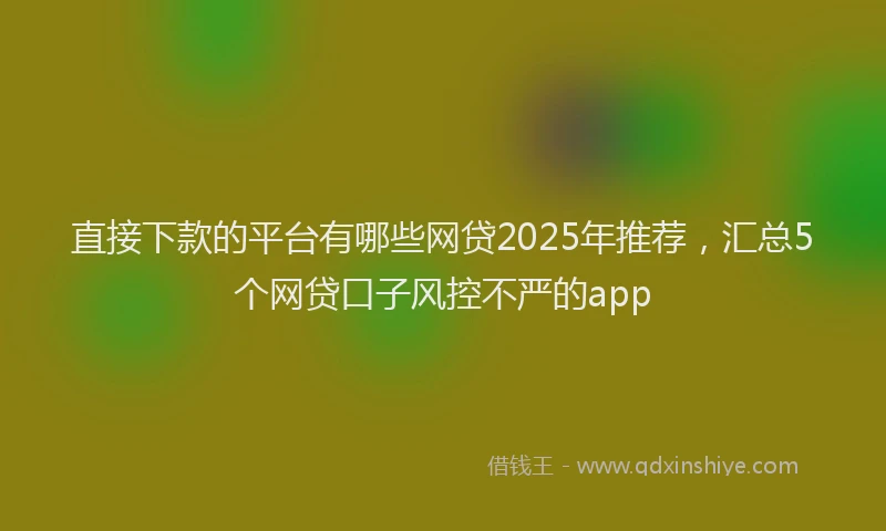直接下款的平台有哪些网贷2025年推荐，汇总5个网贷口子风控不严的app