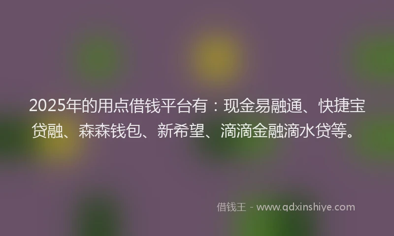 2025年的用点借钱平台有：现金易融通、快捷宝贷融、森森钱包、新希望、滴滴金融滴水贷等。