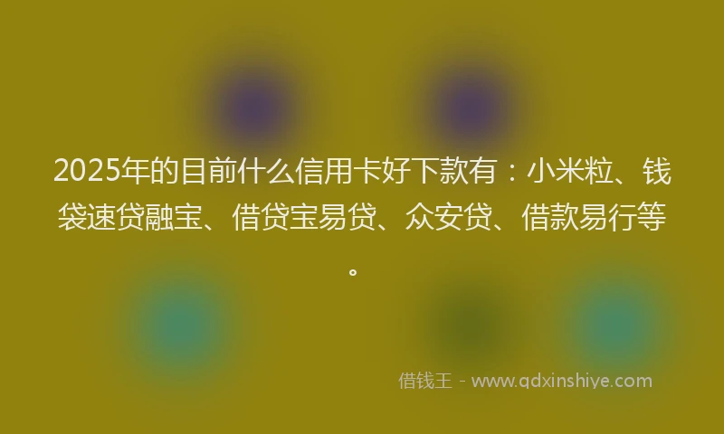 2025年的目前什么信用卡好下款有：小米粒、钱袋速贷融宝、借贷宝易贷、众安贷、借款易行等。