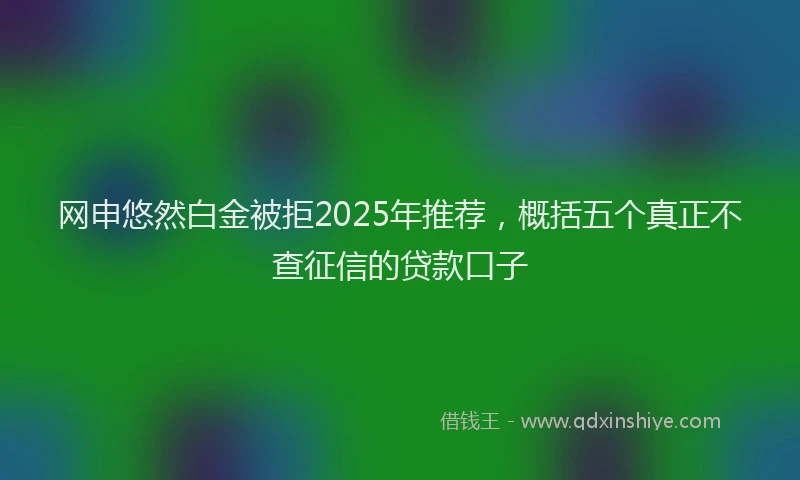 网申悠然白金被拒2025年推荐，概括五个真正不查征信的贷款口子