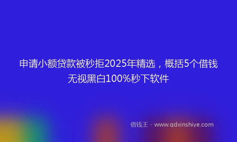 申请小额贷款被秒拒2025年精选，概括5个借钱无视黑白100%秒下软件