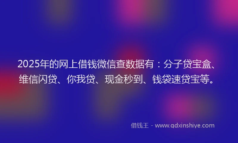 2025年的网上借钱微信查数据有：分子贷宝盒、维信闪贷、你我贷、现金秒到、钱袋速贷宝等。