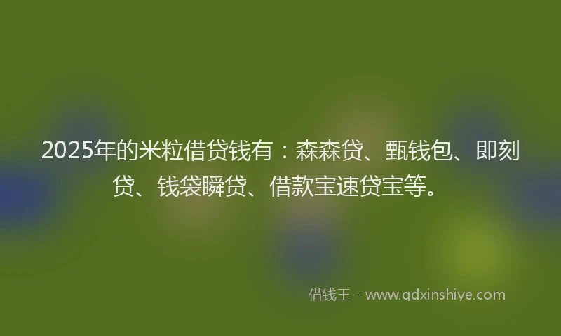 2025年的米粒借贷钱有：森森贷、甄钱包、即刻贷、钱袋瞬贷、借款宝速贷宝等。