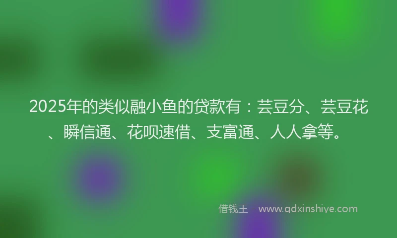 2025年的类似融小鱼的贷款有：芸豆分、芸豆花、瞬信通、花呗速借、支富通、人人拿等。