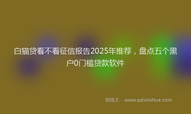 白猫贷看不看征信报告2025年推荐，盘点五个黑户0门槛贷款软件